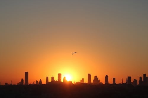 Kostenloses Stock Foto zu dramatischer himmel, draußen, fliegen