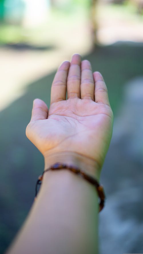 손 인간의 손, 수직 쐈어, 팔의 무료 스톡 사진