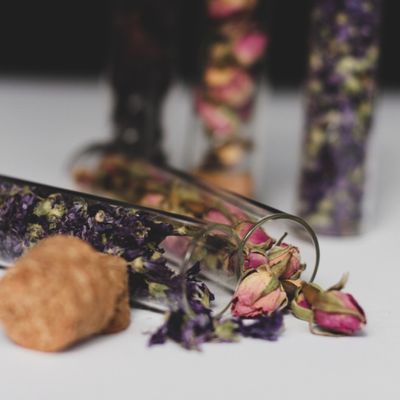 Dried botanicals sealed in corked glass vials — photo by Nurgul Kelebek on Pexels