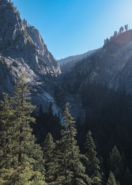 Free Stunning view of Yosemite's rocky cliffs and dense pine forest under a bright blue sky. Stock Photo