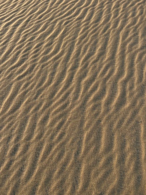 Immagine gratuita di avvicinamento, deserto, giallo