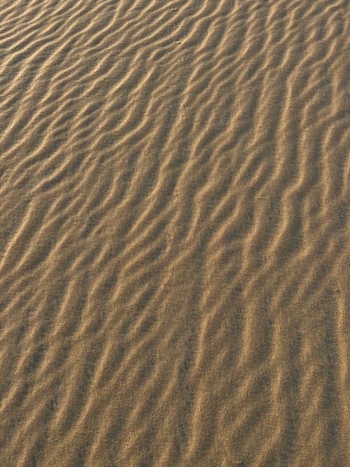 Free Detailed view of wavy sand patterns in a desert environment under sunlight. Stock Photo