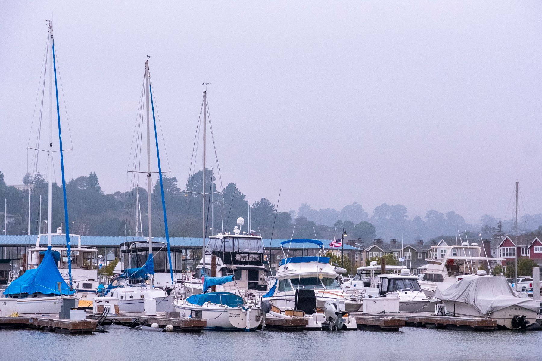 Marina with boats and waterfront residences