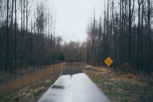 Kostenloses Stock Foto zu beratung, flut, herbst