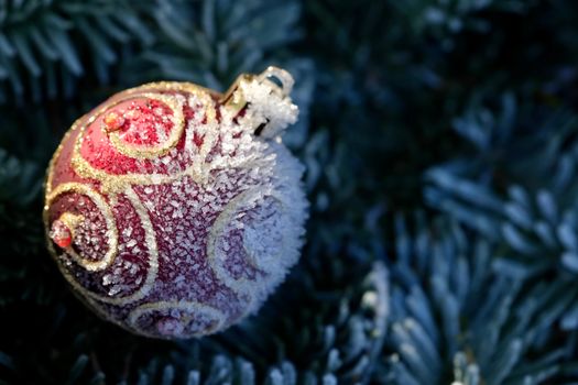 Close-up of a frosty red Christmas ornament set against green pine needles, evoking a winter holiday spirit.