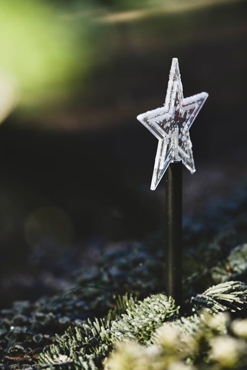 Close up of Christmas Star