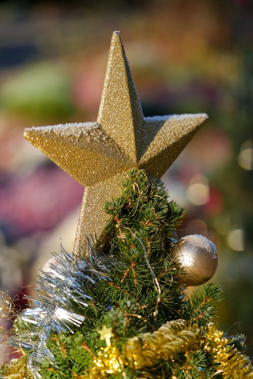 Snow Covered Golden Star on Top of the Christmas Tree