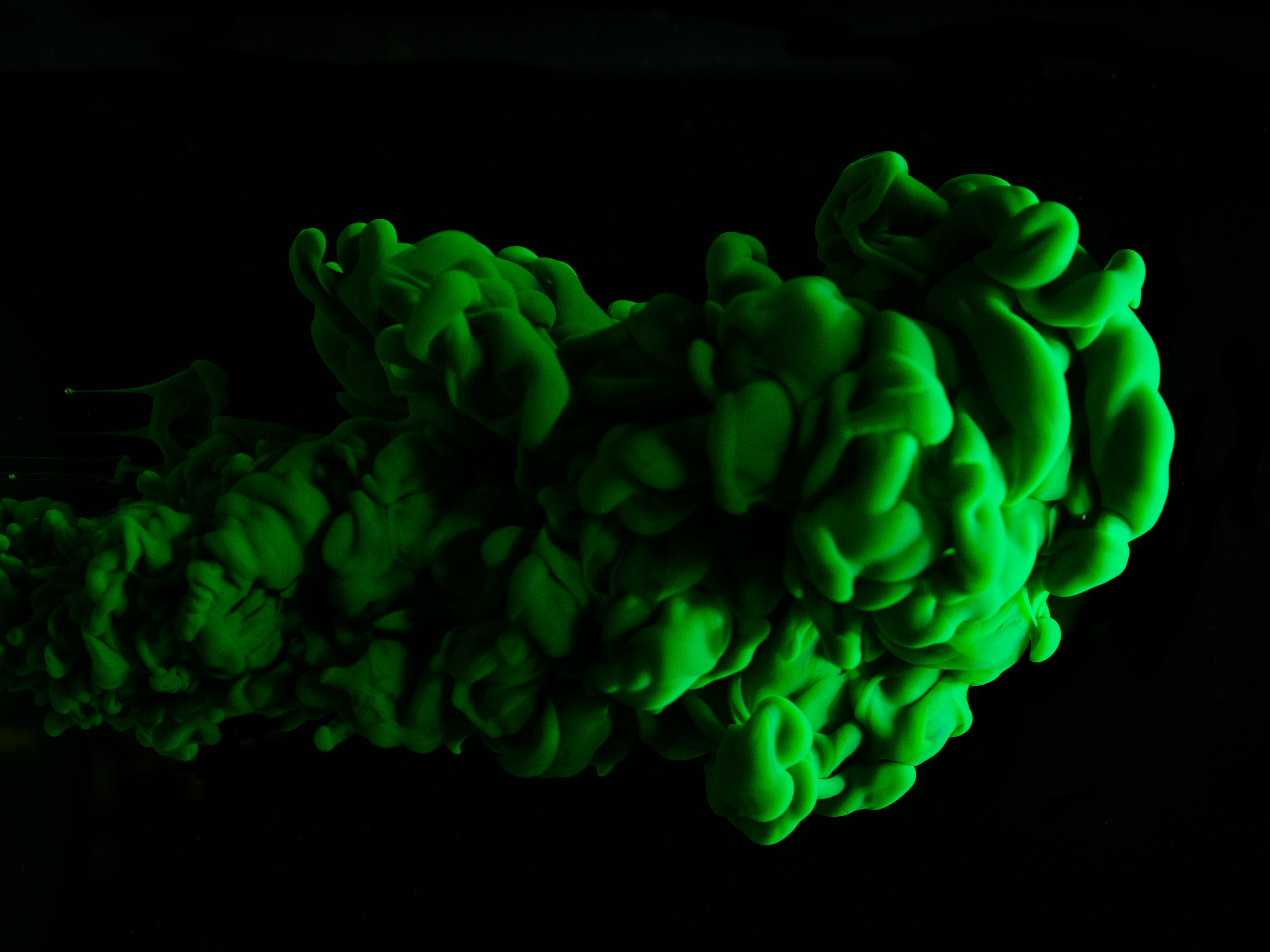 美國國防預算案推動生物工程血管採購 Humacyte 股價狂飆27%