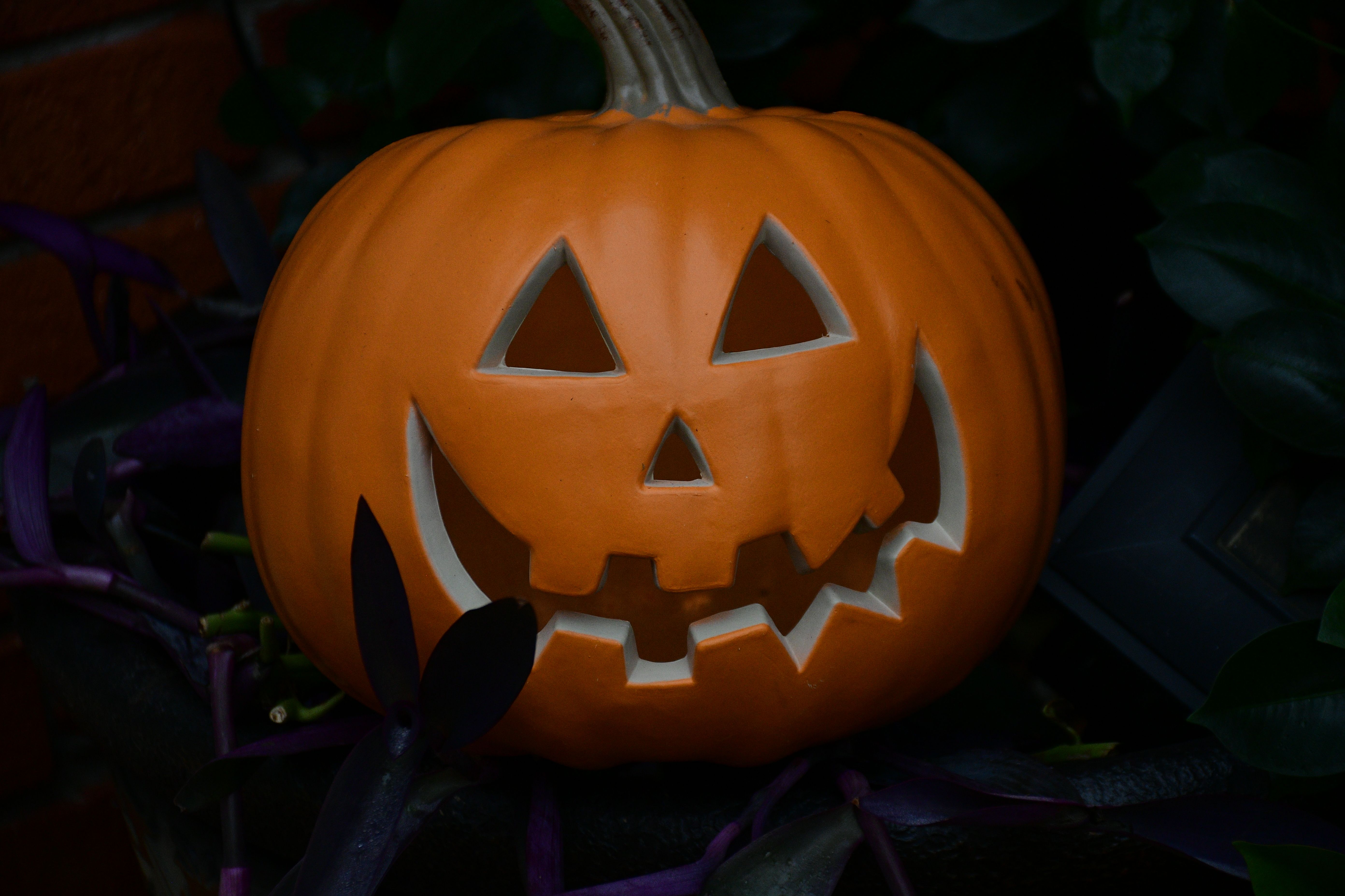 A carved jack-o'-lantern surrounded by dark foliage creates a spooky Halloween atmosphere.