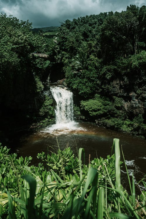 Foto profissional grátis de cachoeira, cênico, destinos de viagem