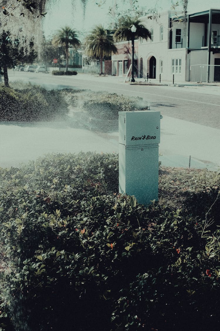 A Letterbox On The Front Yard