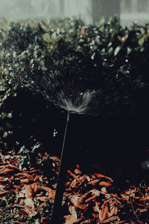 Close-Up Photo of Water Sprinkler