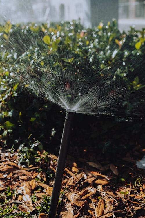 Close-Up Photo of Black Water Sprinkler