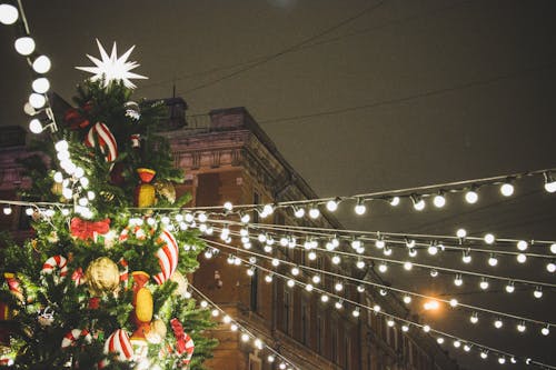 Fotos de stock gratuitas de adorno de navidad, árbol de Navidad, ciudad