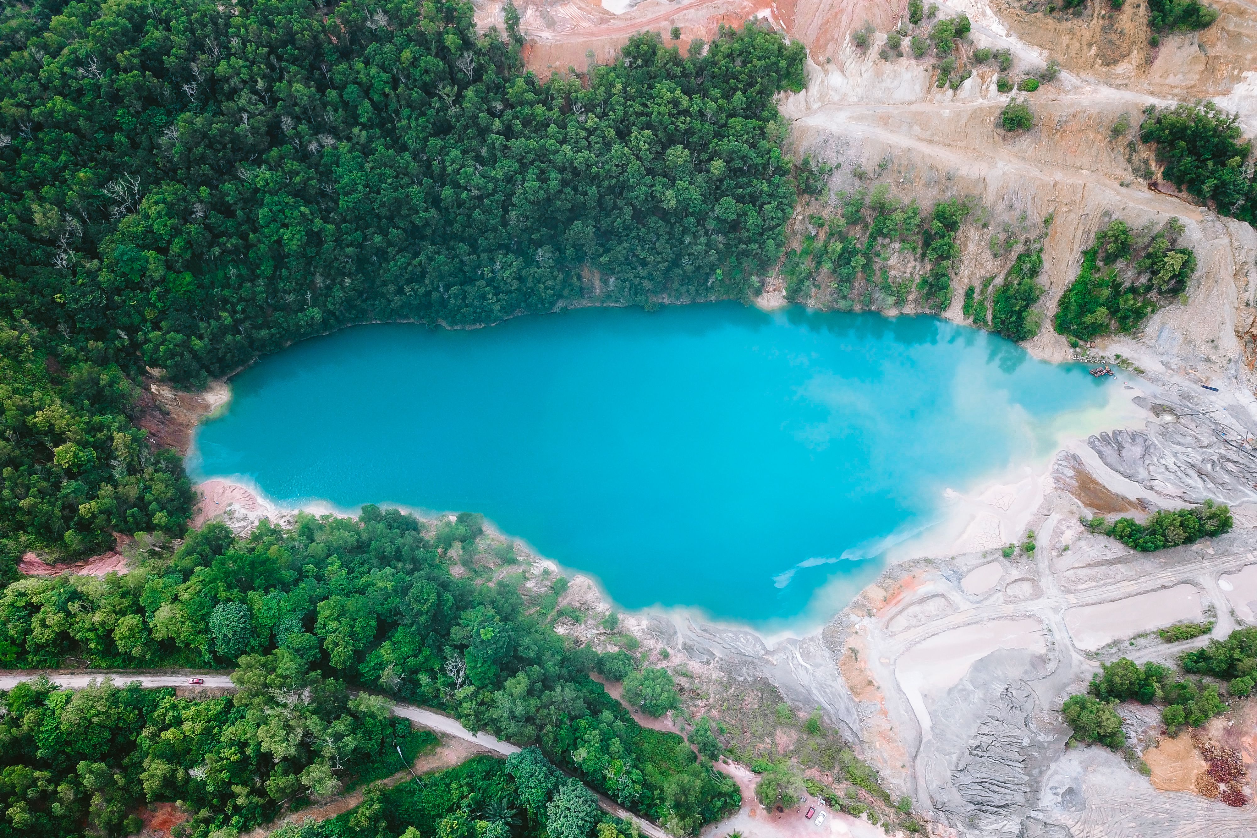 Aerial View of Green Trees and Lake · Free Stock Photo