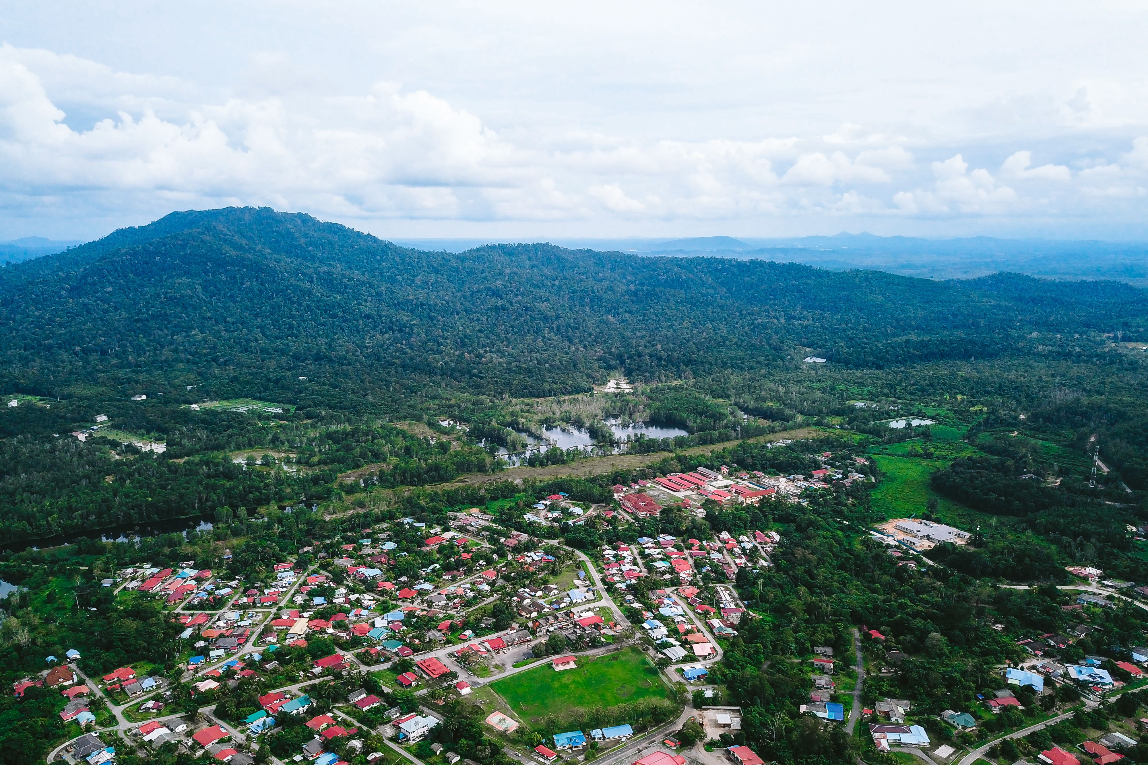 felda