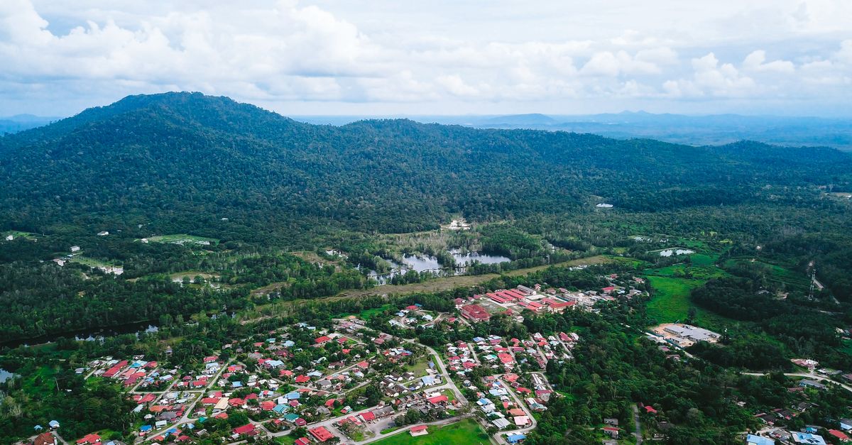 felda