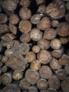 Close-up of Wooden Logs