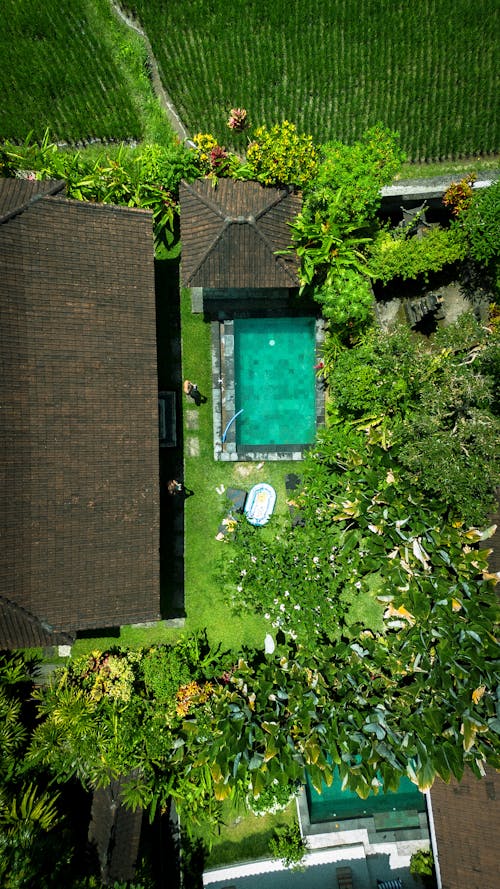 House with Swimming Pool