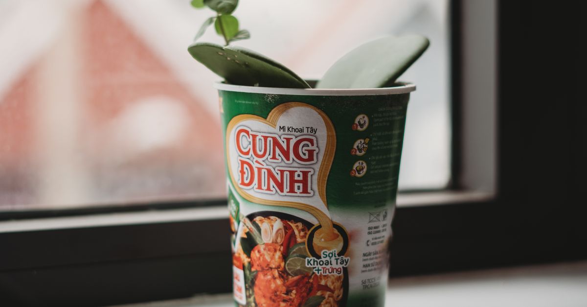 Trend of Instant Noodle Buckets as Planters