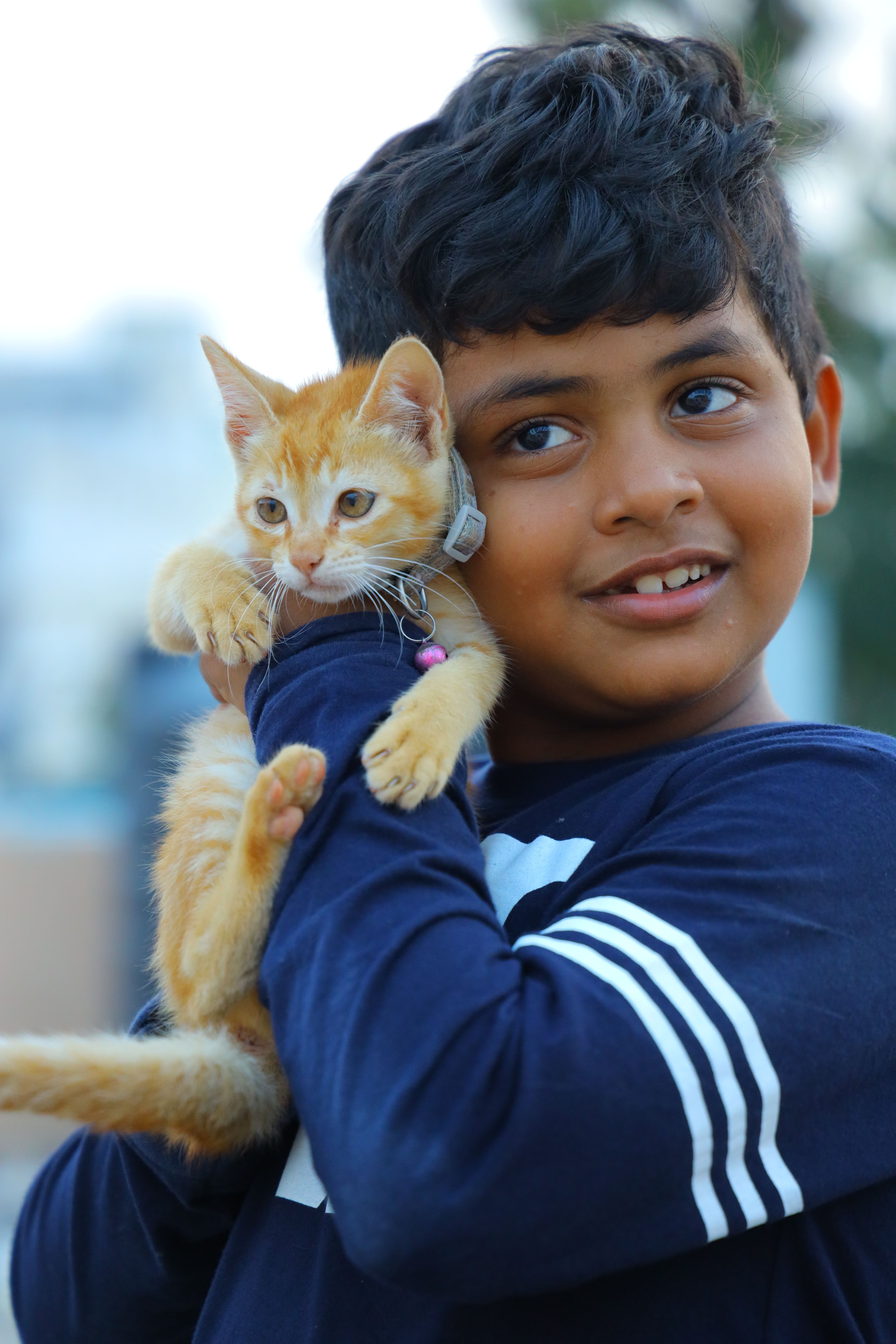 Young boy happily holding a cute ginger kitten outdoors in casual attire. Capturing a moment of companionship and joy.