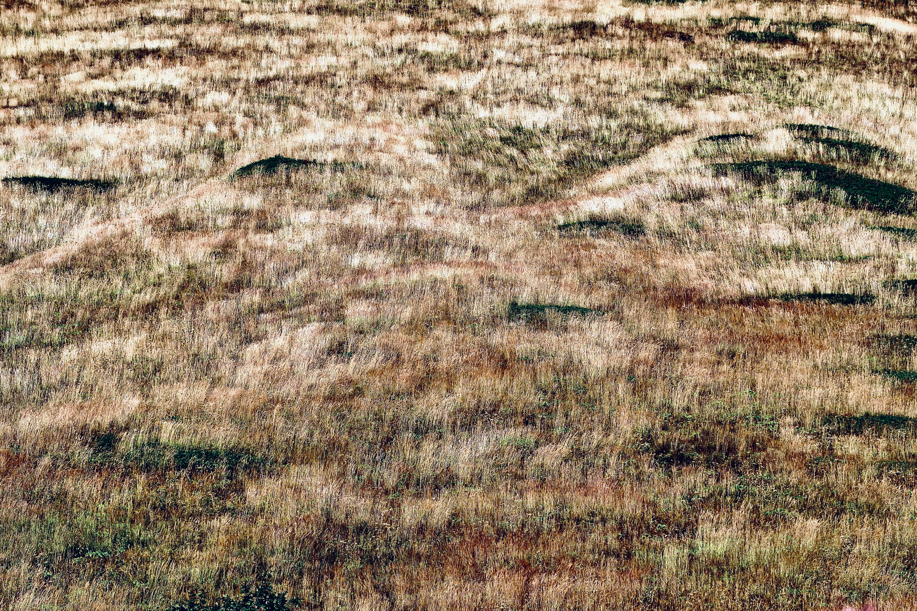 Expansive aerial view of dry and arid grassland with subtle rolling hills.