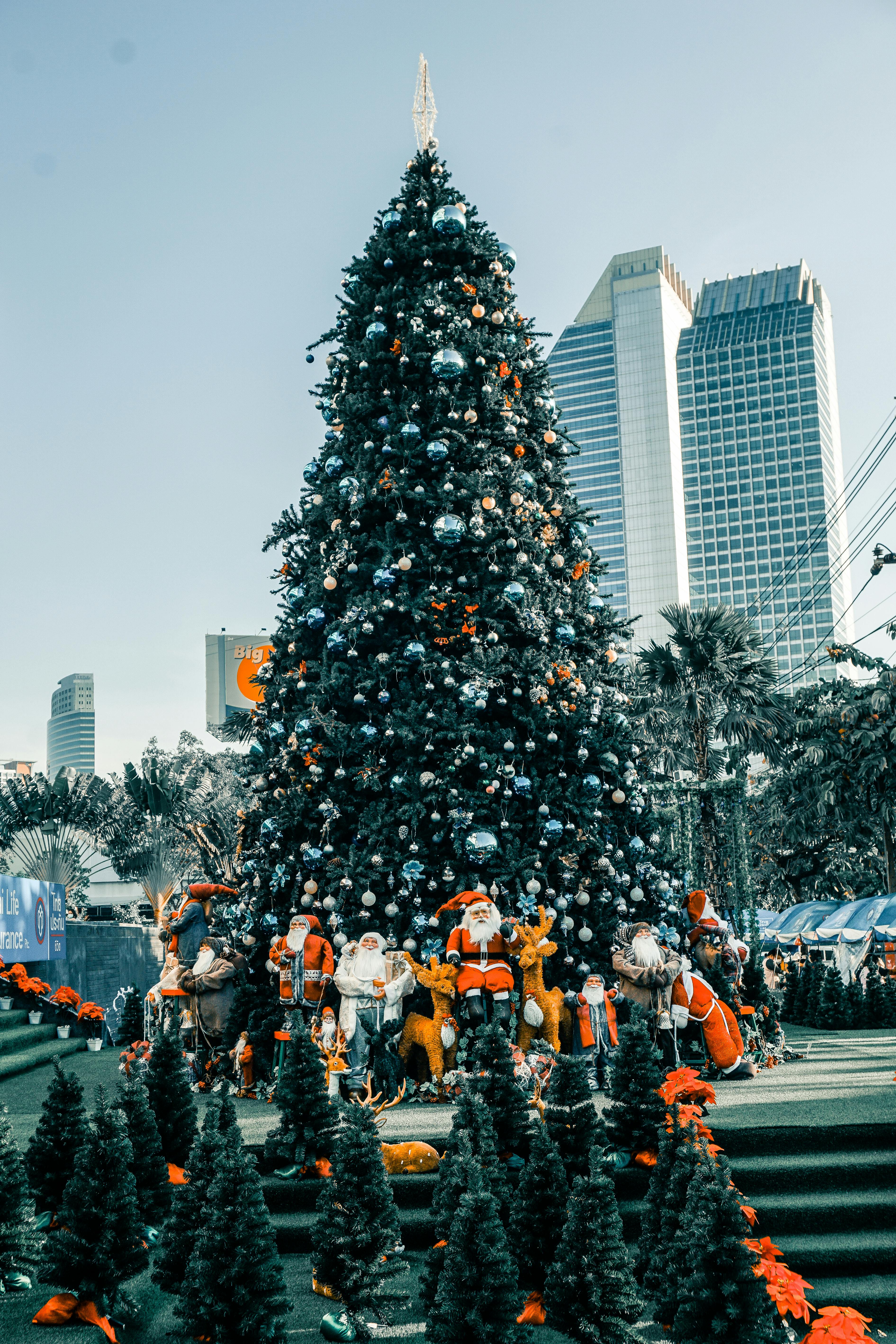 Christmas Tree in Downtown · Free Stock Photo