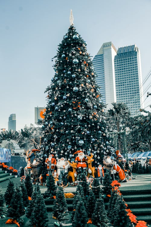 Foto profissional grátis de arranha-céus, árvore de Natal, centro da cidade