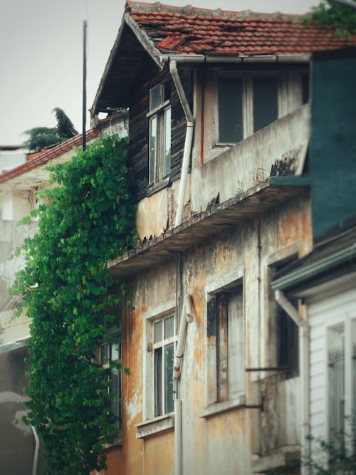 Kostenloses Stock Foto zu altes haus, außendesign, grüne blätter