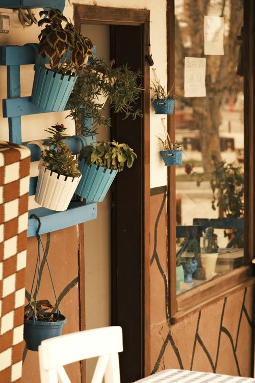 Free Rustic cafe wall with hanging blue and white plant pots, creating a homely ambiance. Stock Photo