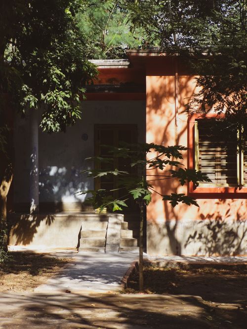 Free A sunlit house facade with tree shadows, creating a peaceful outdoor scene. Stock Photo
