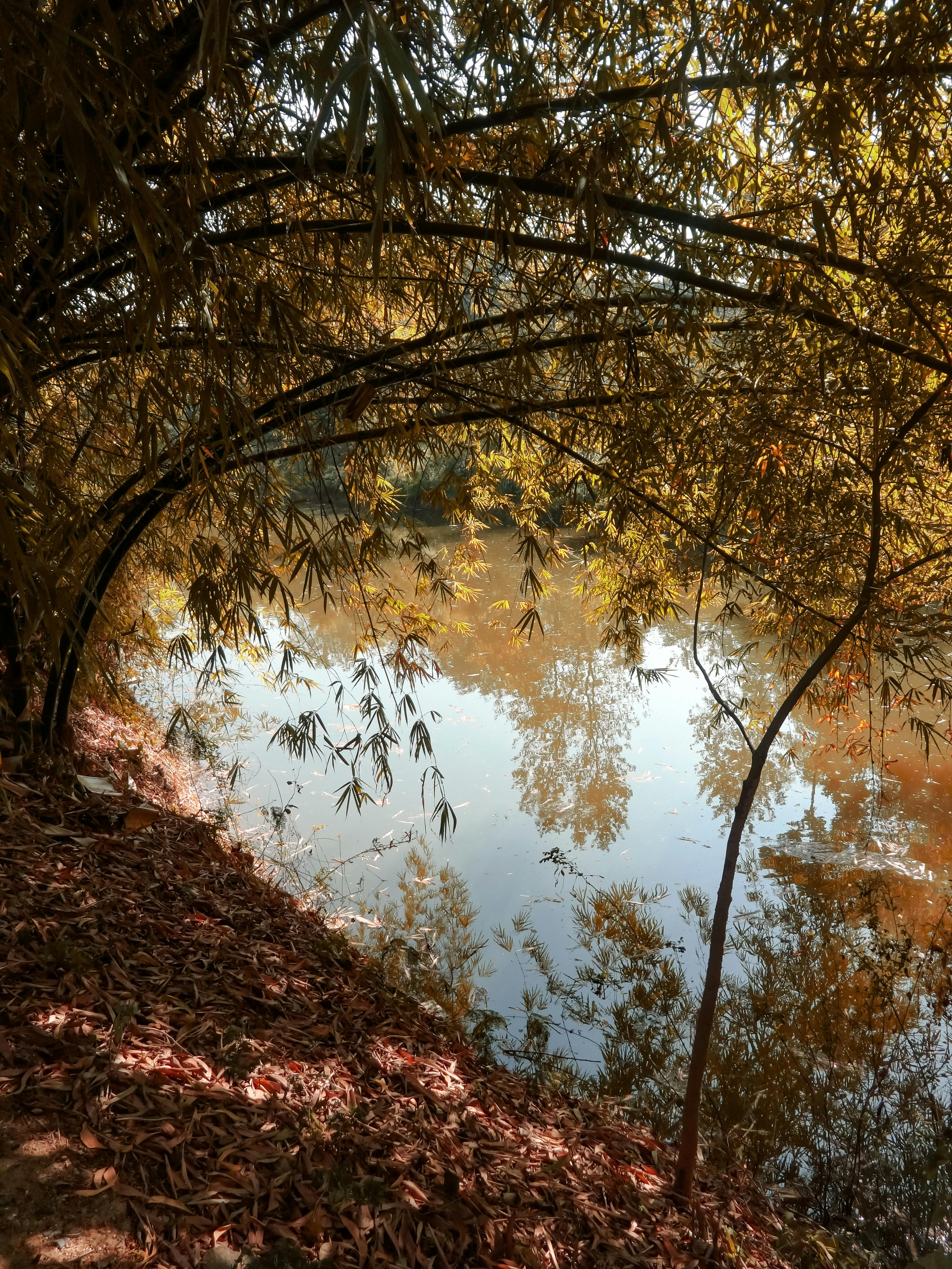 What is a river card in poker?