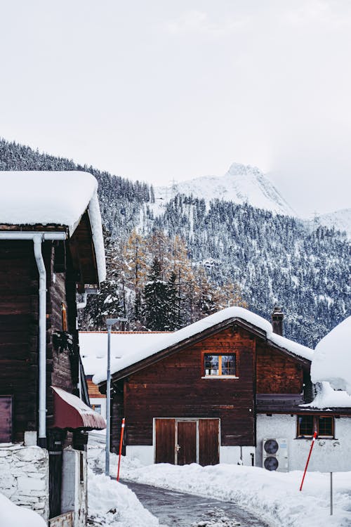 Snow Covered Houses Near the Mountain