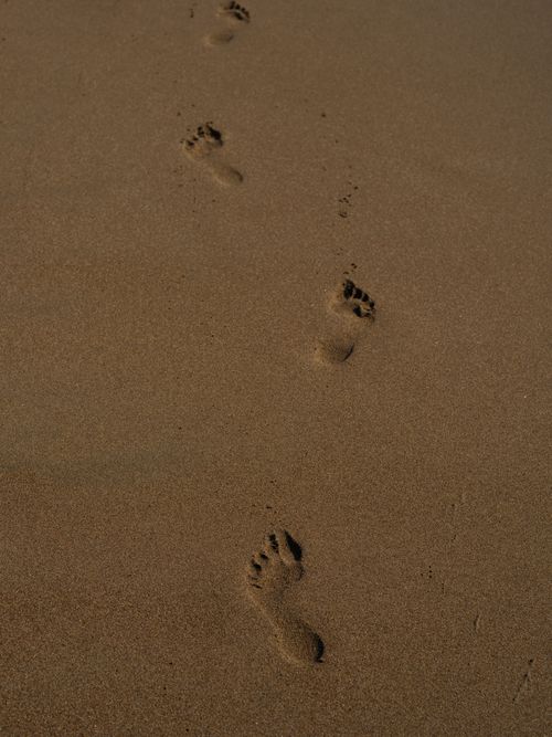 Free Footprints in sandy beach leading into distance evoke a sense of journey and exploration. Stock Photo