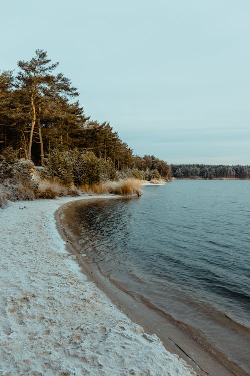 Immagine gratuita di costa, fotografia di paesaggio, pittoresca