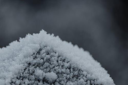 Close-up of a Snow 