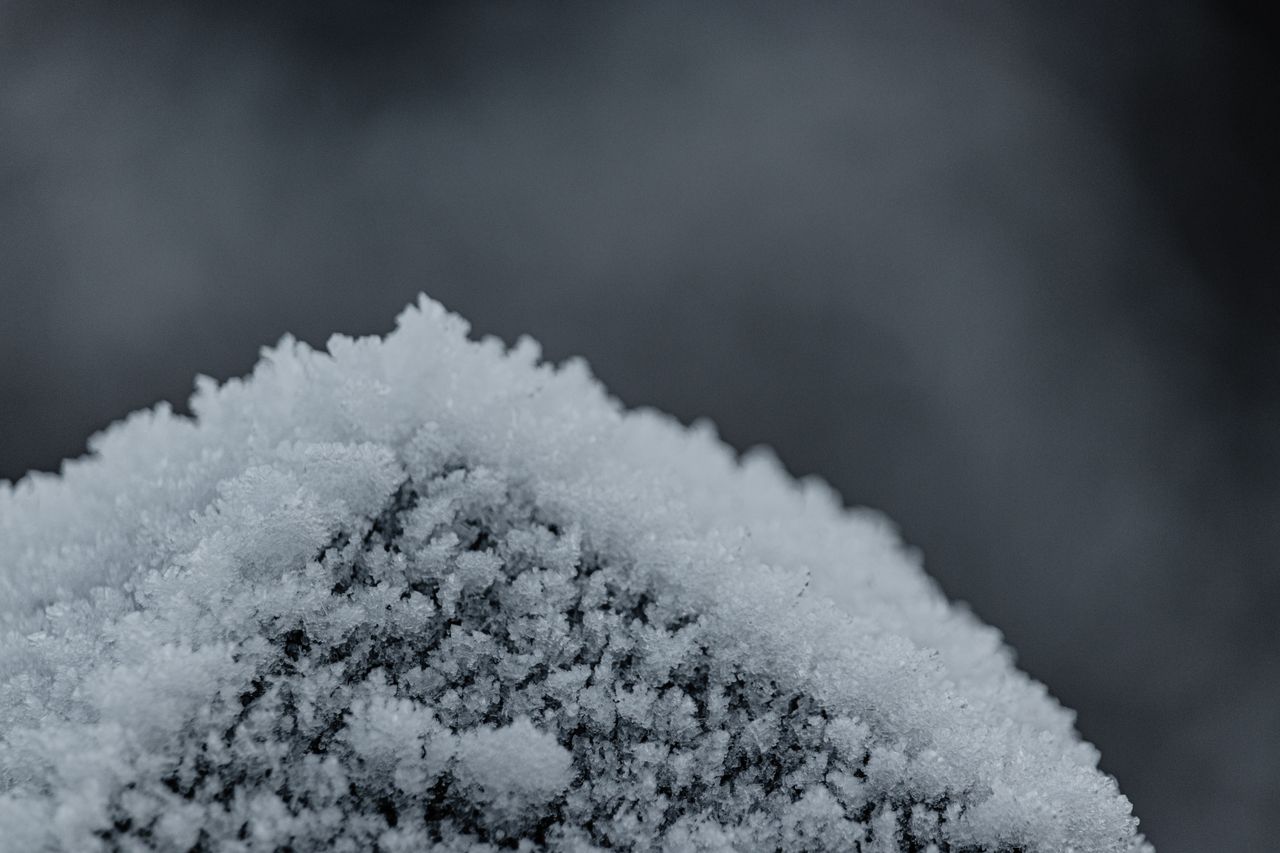 a detailed macro shot of a frosty icy surface captured in winter