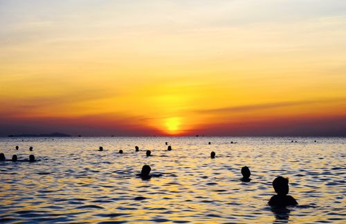 Free People enjoying a serene swim at sunset with vibrant skies and calm ocean waves. Stock Photo