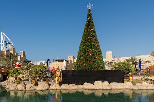 Free Christmas Tree in Dubai Stock Photo