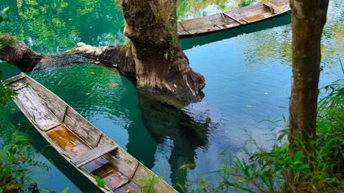 강, 나무, 보트의 무료 스톡 사진