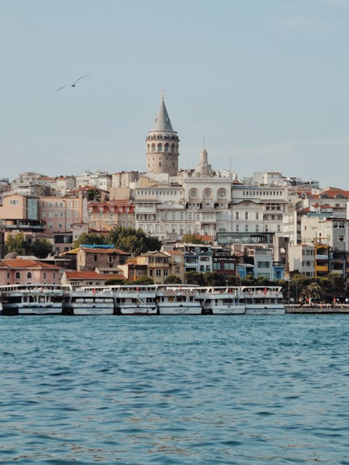 Immagine gratuita di barche, edifici, Istanbul