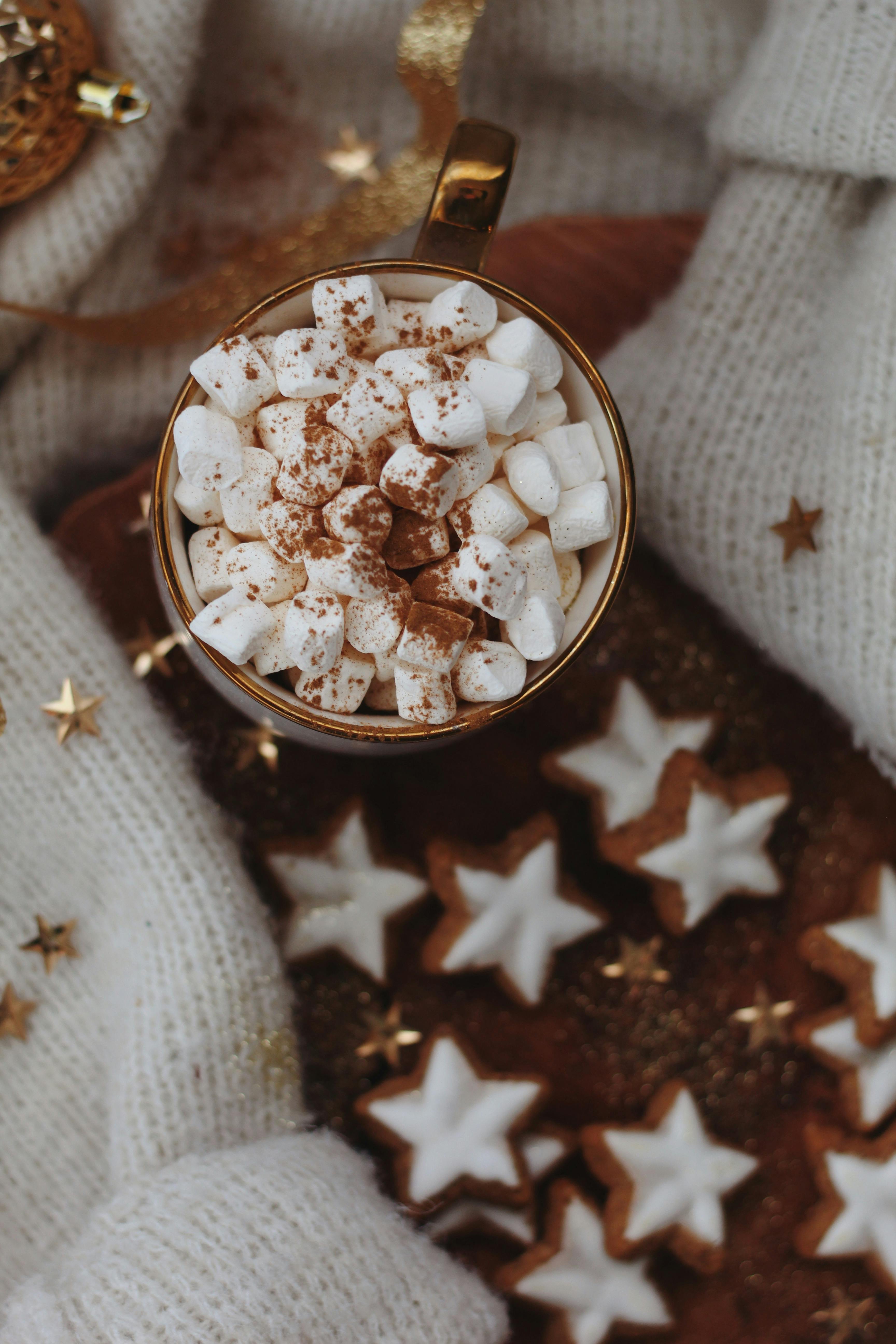 hot chocolate with marshmallows and gingerbread cookies