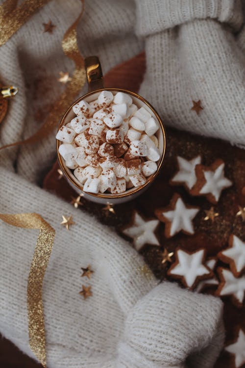 Free Hot Chocolate with Marshmallows and Gingerbread Cookies  Stock Photo