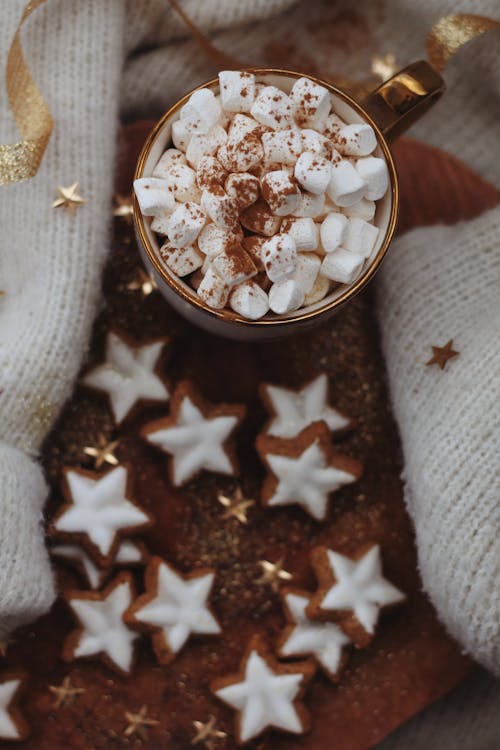 Free Hot Chocolate with Marshmallows and Gingerbread Cookies  Stock Photo