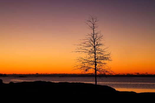 A solitary tree stands silhouetted against a vivid sunset sky over a tranquil lake, evoking calmness.