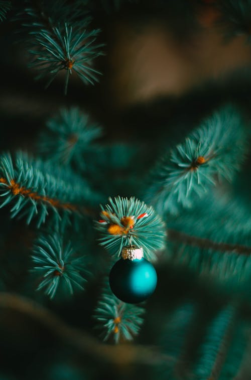 A Christmas Ball Hanging on the Christmas Tree