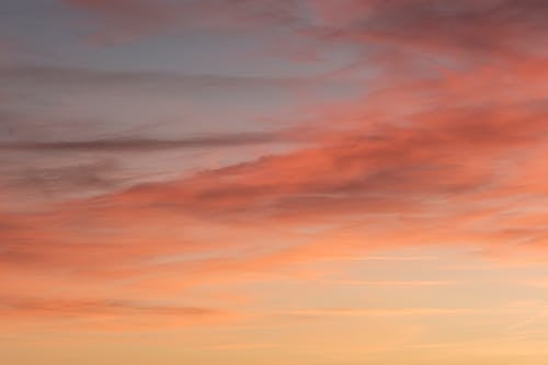 Foto stok gratis awan, Fajar, langit