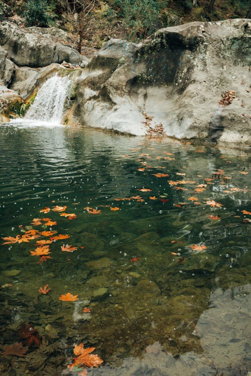 Fotos de stock gratuitas de agua, cascada, lago