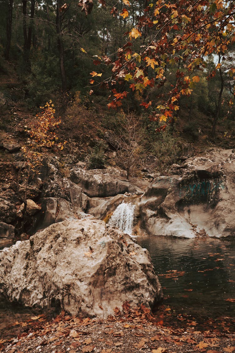 Cascade In Autumn