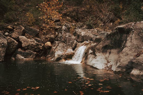 Gratuit Photos gratuites de automne, cailloux, cascade Photos